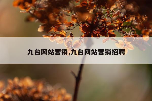 九台网站营销,九台网站营销招聘