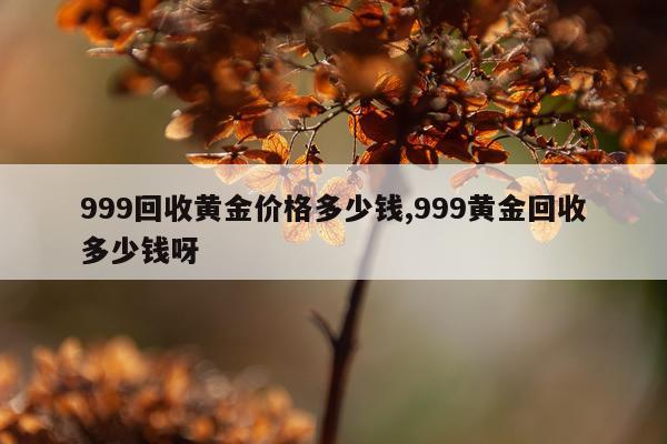 999回收黄金价格多少钱,999黄金回收多少钱呀