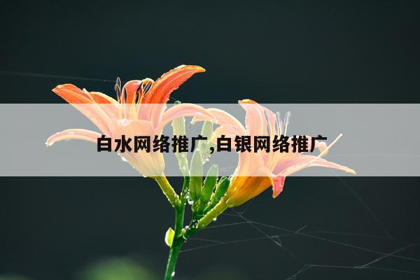 白水网络推广,白银网络推广