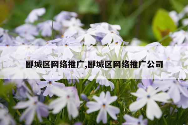 郾城区网络推广,郾城区网络推广公司
