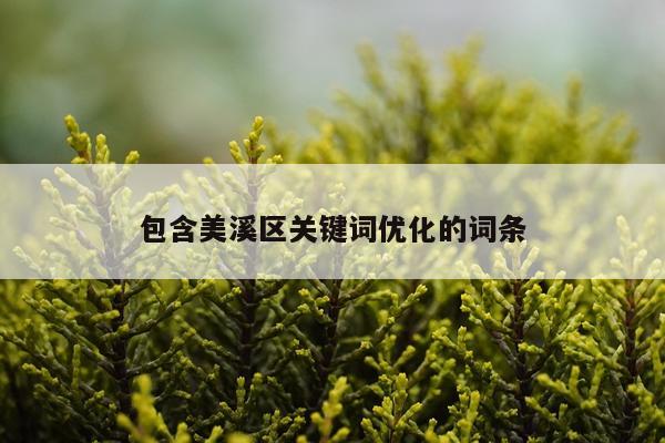 包含美溪区关键词优化的词条