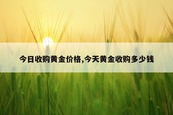 今日收购黄金价格,今天黄金收购多少钱