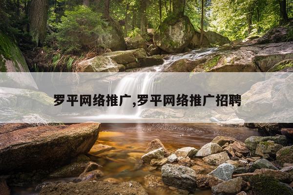 罗平网络推广,罗平网络推广招聘