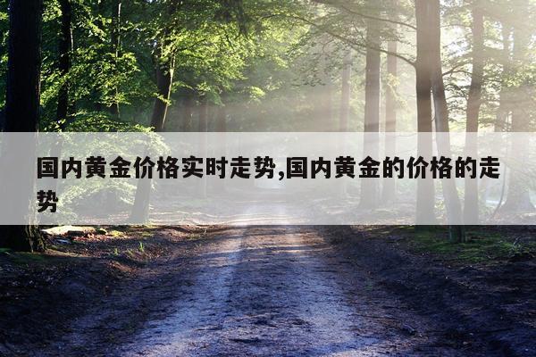 国内黄金价格实时走势,国内黄金的价格的走势