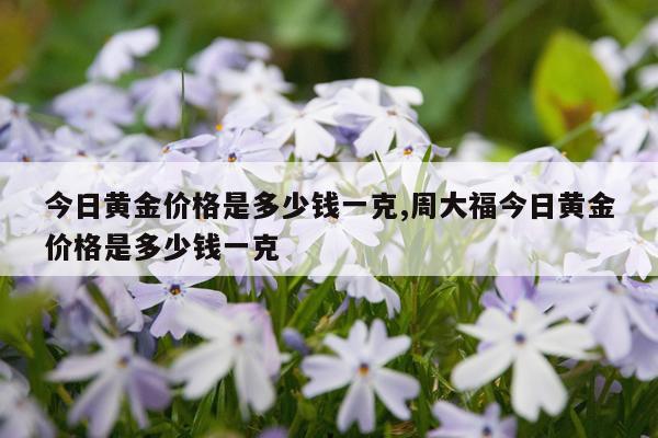今日黄金价格是多少钱一克,周大福今日黄金价格是多少钱一克