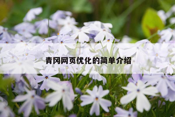 青冈网页优化的简单介绍