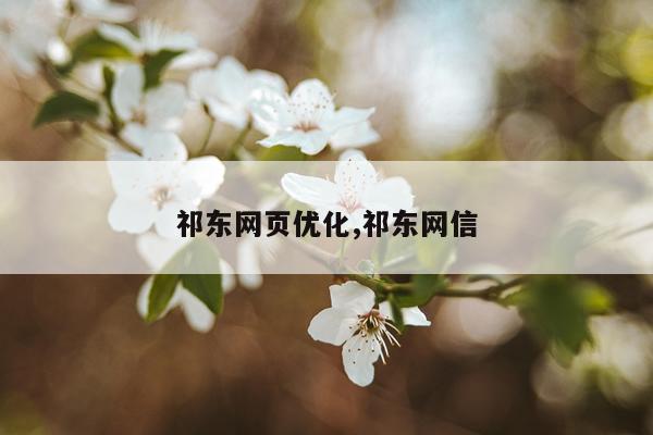 祁东网页优化,祁东网信