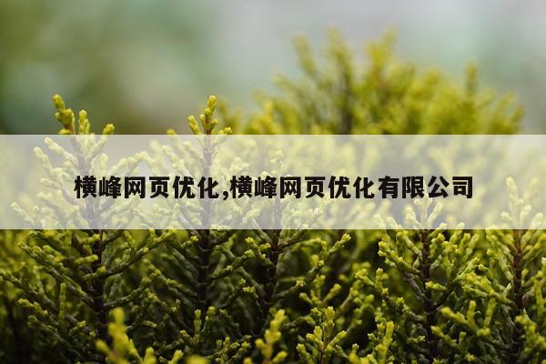 横峰网页优化,横峰网页优化有限公司
