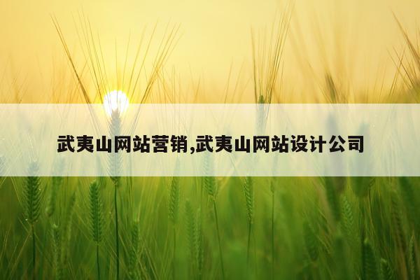 武夷山网站营销,武夷山网站设计公司