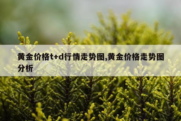 黄金价格t+d行情走势图,黄金价格走势图分析