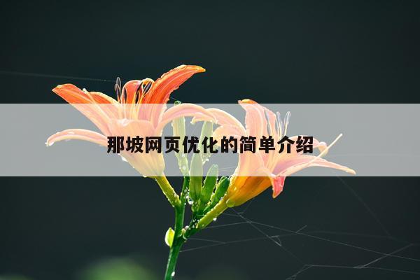 那坡网页优化的简单介绍
