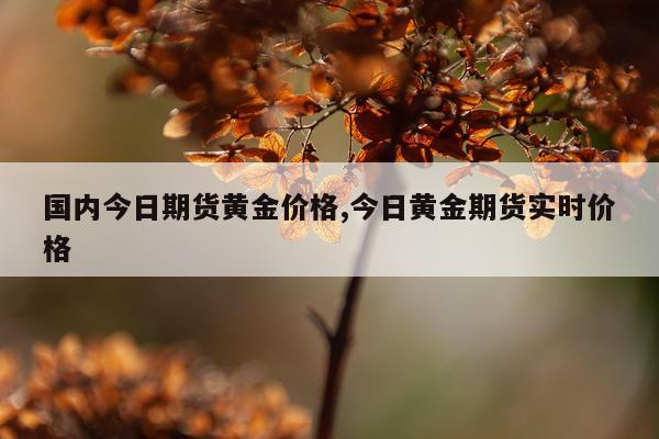 国内今日期货黄金价格,今日黄金期货实时价格
