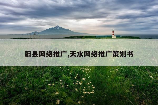 蔚县网络推广,天水网络推广策划书