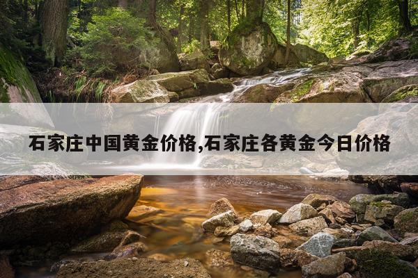 石家庄中国黄金价格,石家庄各黄金今日价格