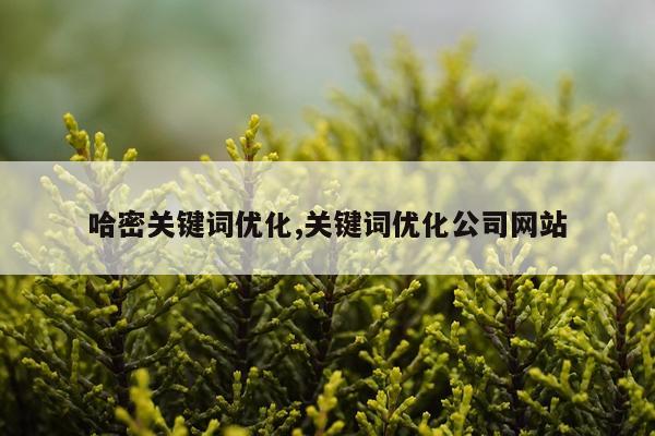 哈密关键词优化,关键词优化公司网站