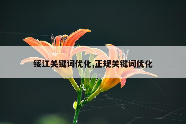 绥江关键词优化,正规关键词优化