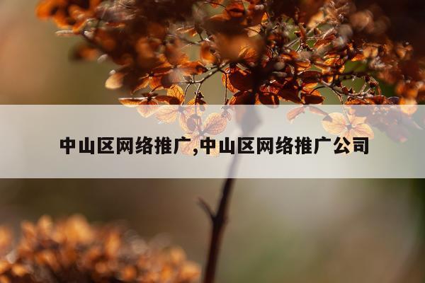 中山区网络推广,中山区网络推广公司