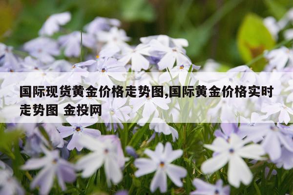 国际现货黄金价格走势图,国际黄金价格实时走势图 金投网