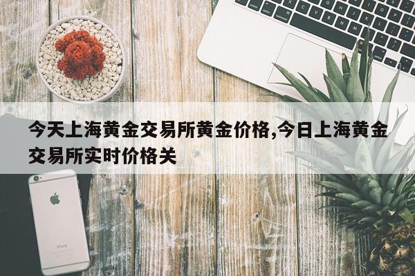 今天上海黄金交易所黄金价格,今日上海黄金交易所实时价格关