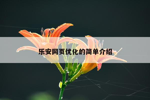 乐安网页优化的简单介绍