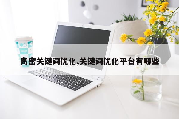 高密关键词优化,关键词优化平台有哪些