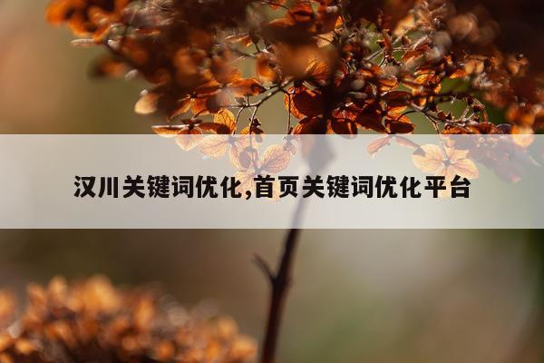 汉川关键词优化,首页关键词优化平台