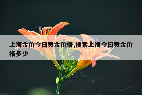 上海金价今日黄金价格,搜索上海今曰黄金价格多少