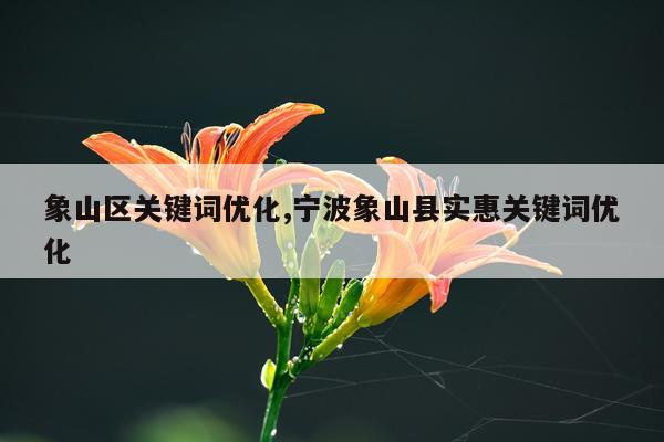 象山区关键词优化,宁波象山县实惠关键词优化