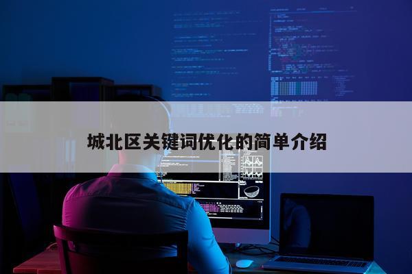 城北区关键词优化的简单介绍