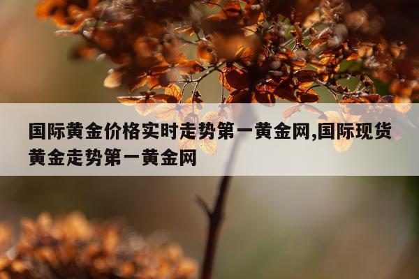 国际黄金价格实时走势第一黄金网,国际现货黄金走势第一黄金网