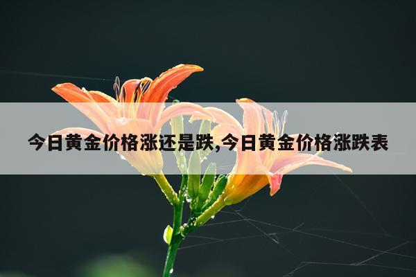 今日黄金价格涨还是跌,今日黄金价格涨跌表