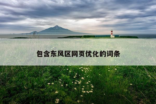 包含东风区网页优化的词条