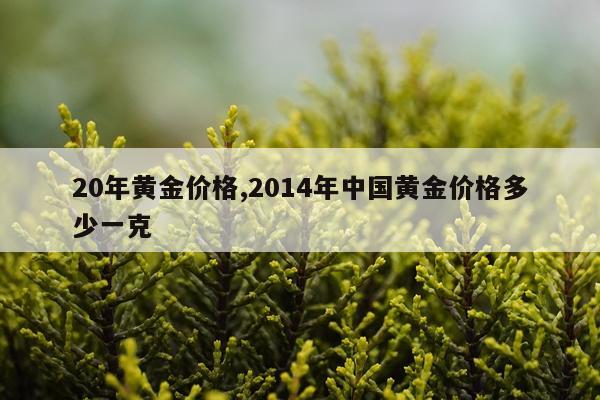 20年黄金价格,2014年中国黄金价格多少一克
