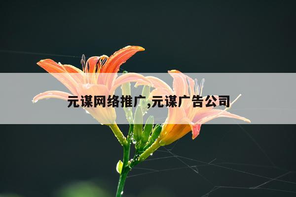 元谋网络推广,元谋广告公司