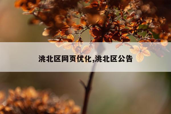 洮北区网页优化,洮北区公告