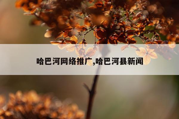 哈巴河网络推广,哈巴河县新闻
