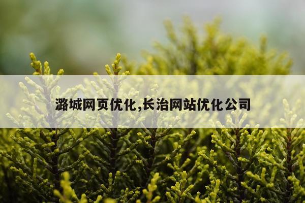 潞城网页优化,长治网站优化公司