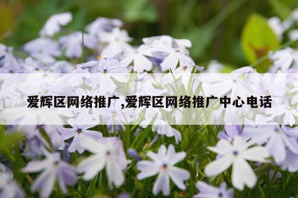 爱辉区网络推广,爱辉区网络推广中心电话