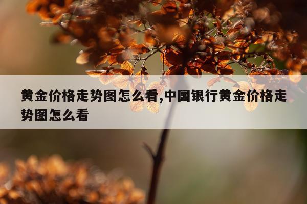 黄金价格走势图怎么看,中国银行黄金价格走势图怎么看