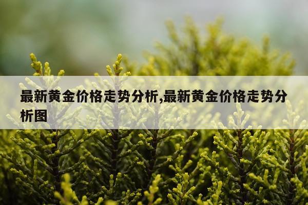 最新黄金价格走势分析,最新黄金价格走势分析图
