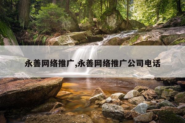永善网络推广,永善网络推广公司电话