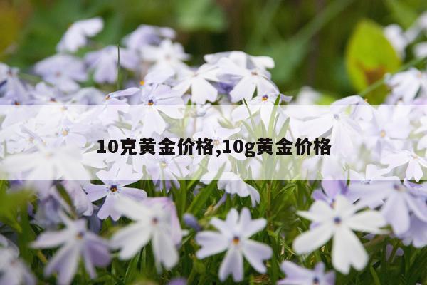 10克黄金价格,10g黄金价格