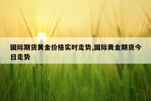 国际期货黄金价格实时走势,国际黄金期货今日走势