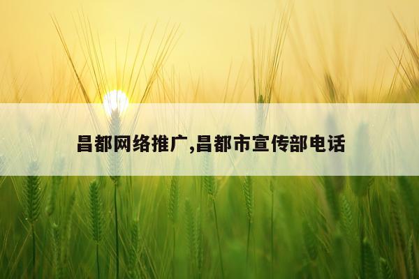 昌都网络推广,昌都市宣传部电话