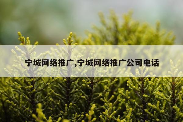 宁城网络推广,宁城网络推广公司电话