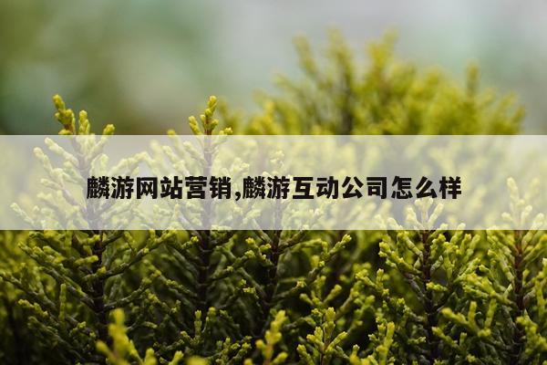 麟游网站营销,麟游互动公司怎么样