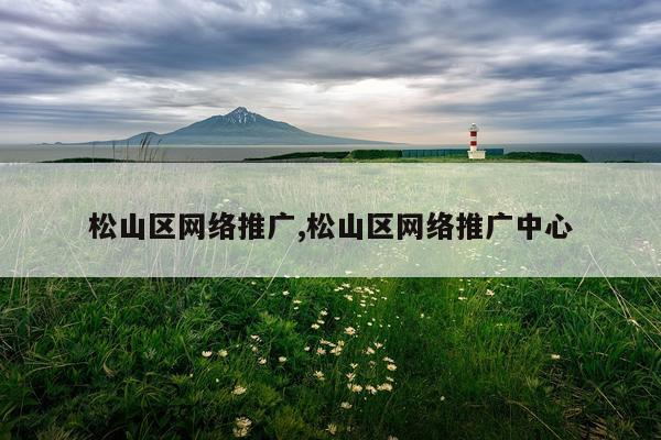松山区网络推广,松山区网络推广中心