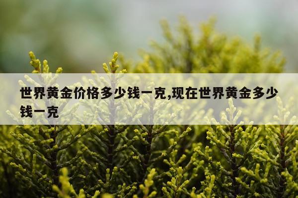 世界黄金价格多少钱一克,现在世界黄金多少钱一克