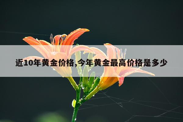 近10年黄金价格,今年黄金最高价格是多少