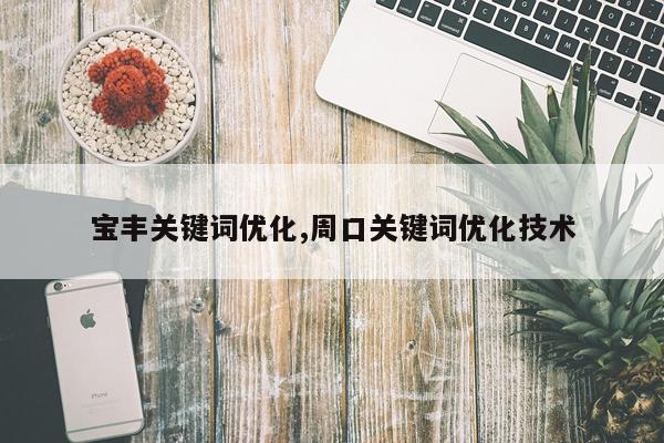 宝丰关键词优化,周口关键词优化技术